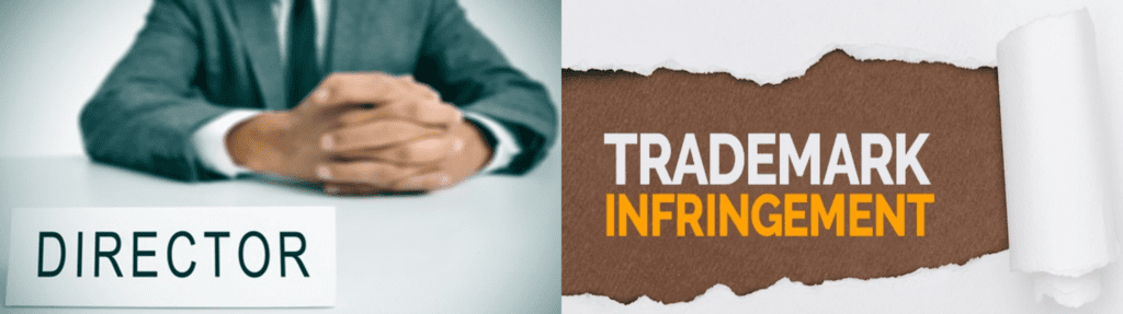 Director and Infringement